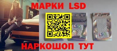 гашик Новозыбков