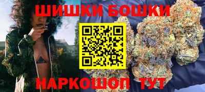 гашик Новозыбков