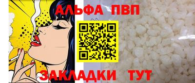 гашик Новозыбков