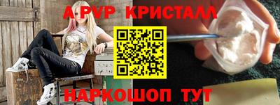 гашик Новозыбков