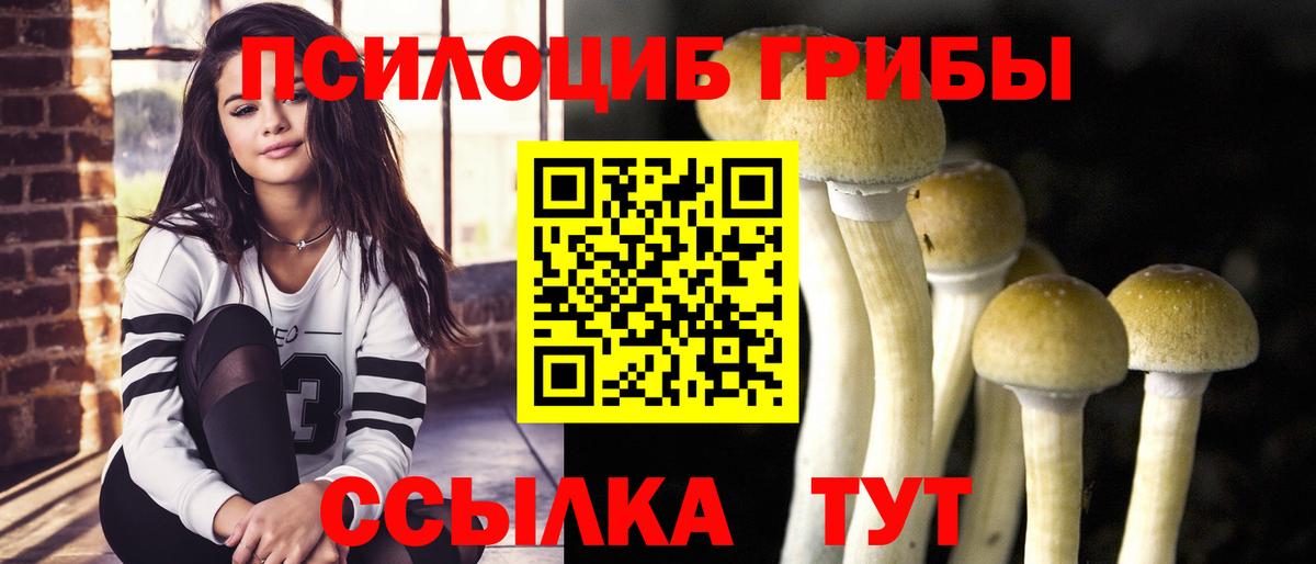 Псилоцибиновые грибы Cubensis  Вход с VPN  Узловая  Галлюциногенные грибы прущие грибы 
